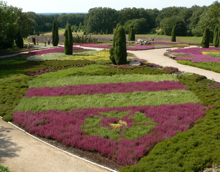 Schneverdingen, Lower Saxony, Germany