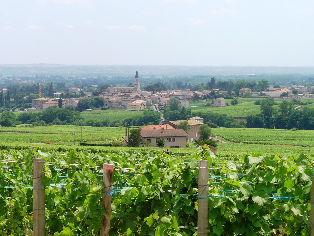 Romanèche-Thorins, Bourgogne-Franche-Comté, France