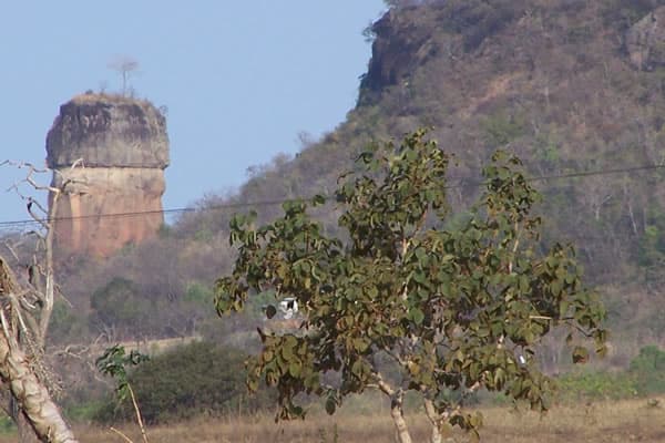 Figueirão, Mato Grosso do Sul, Brazil