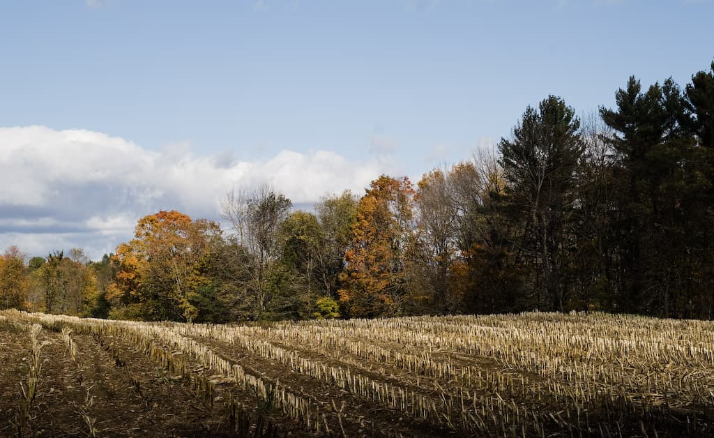 Cornville, Maine, United States